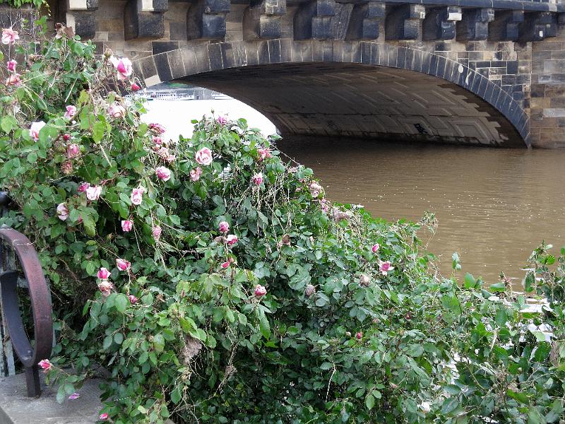 Hochwasser (319).JPG